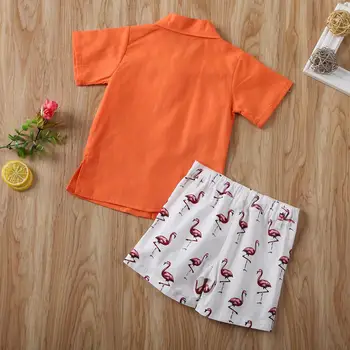 1-6Y Copil copil Copil Băiat Set Haine Scurte Topuri cu Maneci T shirt Flamingo pantaloni Scurți, Costume