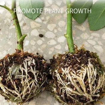 1 buc Reglabil Plante Înrădăcinare Mingea Altoire Înrădăcinare în Creștere Cutie de Reproducere Caz De Grădină, Grădinărit de Interior & Hidroponice TB Vânzare