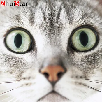 5d Diamant Pictura pisica Plina Piata de Foraj Acasă Decorare Accesorii Broderie Imagine De Pietre Cadou CARE