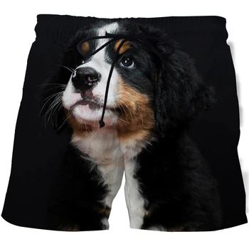 Amuzant Câine Alb 3D Imprimate pantaloni Scurți de Plajă Bărbați Femei pantaloni Scurti Cool de Vară de Vacanță Confortabilă pantaloni Scurti Animal grafic de costume de Baie