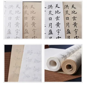 Chinese Brush Caiet de Caligrafie Caiet Ouyang Xun Script-ul Regulat de Mii de Caractere Practică Copie Carte pentru Incepatori