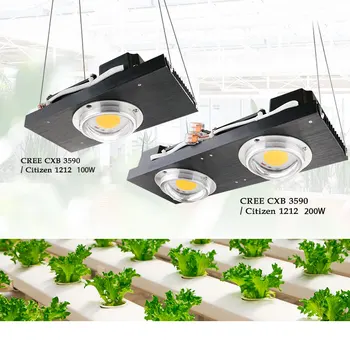 CXB3590 COB LED-uri Cresc de Lumină întregul Spectru de 100W, 200W Cetățean 1212 Plante LED-uri Cresc Lampa pentru Interior Cort Sere Hidroponice de Plante