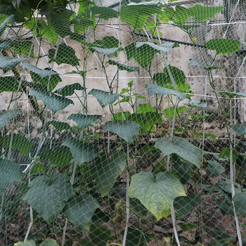 Grădină Net Anti Pasăre Plasă De Pui De Păsări De Curte Iaz Heron Porumbel Plasă De Animal Net Kit Pentru A Proteja Plantele Legume Fructe Copac