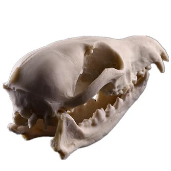 Noua Creatie Rășină Fox Craniu Craniu Sculptură Figurine De Animale Ambarcațiuni Statuie Decor De Halloween Decor Acasă Ornament Cadou