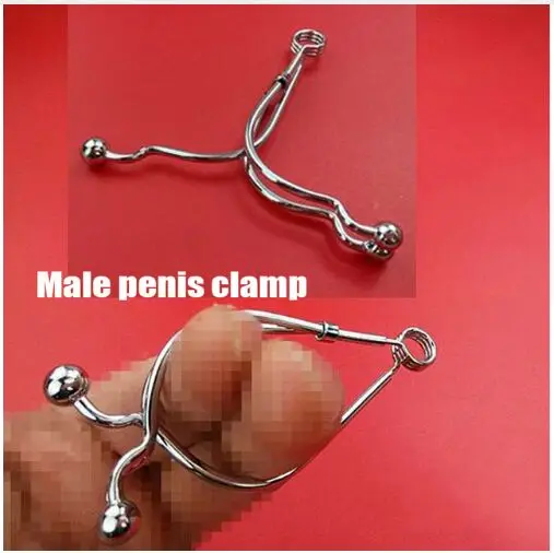 penis masculin mediu)